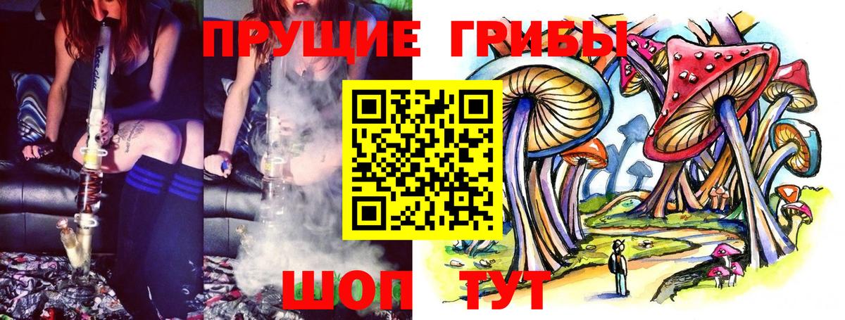 Орехово-Зуево  Галлюциногенные грибы Psilocybine cubensis  Галлюциногенные грибы Psilocybe  Вход с VPN 