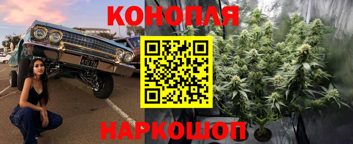 Конопля тримм  Вход с VPN  Бошки Шишки White Widow  Орехово-Зуево  Каннабис White Widow 